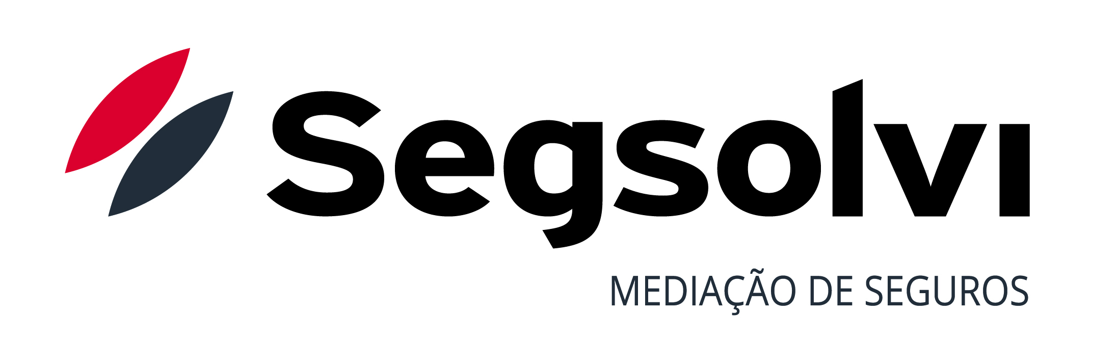 Logo Segsolvi horizontal