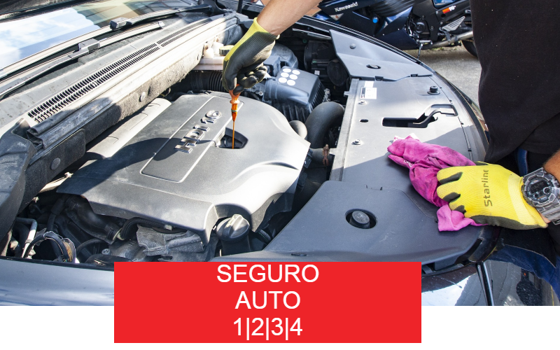 seguro Auto 1-2-3-4